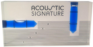 Уровень Acoustic Signature 2 Way Level