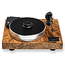 Xtension 12 Evo Walnut Burl Satin