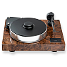 Xtension 10 Evolution Walnut Burl High Gloss