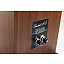 Davis Acoustics Courbet 8 орех #5
