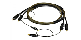 Gold Rush RCA-RCA 1.5m