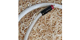 SCM Pulsar Digital RCA 1.0 м
