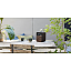 Ruark Audio R1 Mk4 DAB/DAB+/FM Bluetooth Radio эспрессо #6