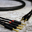 Zavfino Prima Mk2 SPK Bi-Wire BFA (бананы) 2.5m #3
