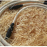 SCM Cortex XLR 1.0 м