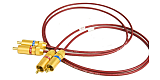 The Orchid RCA 1.0m