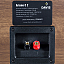 Davis Acoustics Ariane C2 черный ясень #2