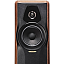 Sonus faber  Maxima Amator #5