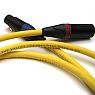 3T The Valley XLR 1.5 м