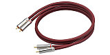 Reference 5NX-505 RCA 1.0m