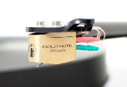 Gold Note Donatello Gold #3