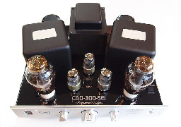 Cary Audio CAD 300 SEI серебристый #3