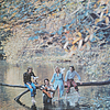 WINGS (PAUL McCARTNEY) WILD LIFE/LP-OR